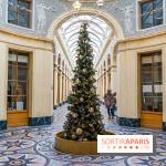 Noël Paris visuels - cadeau - sapin - Marché de Noël - cadeau de Noël - décoration -  A7C9116