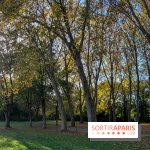 Issy - parc de l'île Saint Germain et Tour aux figures 