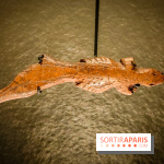 Arts et Préhistoire, l'exposition de peintures rupestres au Musée de l'Homme - nos photos