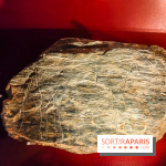 Arts et Préhistoire, l'exposition de peintures rupestres au Musée de l'Homme - nos photos