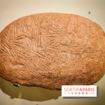 Arts et Préhistoire, l'exposition de peintures rupestres au Musée de l'Homme - nos photos