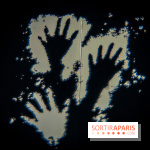 Arts et Préhistoire, l'exposition de peintures rupestres au Musée de l'Homme - nos photos