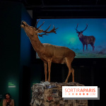 Musicanimale, l'exposition à la Philharmonie