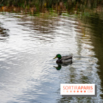 Abbaye de Maubuisson visuels