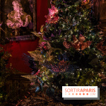 Noël à Vaux-le-Vicomte 2022, les 400 ans de la naissance de Molière - décorations de Noël