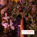 Noël à Vaux-le-Vicomte 2022, les 400 ans de la naissance de Molière - décorations de Noël