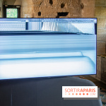 Exposition De Pronfundis Ascendam à l'Abbaye de Maubuisson - nos photos