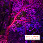 Illuminations de Noël 2022 : les Sentiers Lumineux de Noël au Parc Floral - nos photos