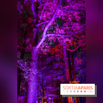 Illuminations de Noël 2022 : les Sentiers Lumineux de Noël au Parc Floral - nos photos