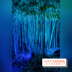 Illuminations de Noël 2022 : les Sentiers Lumineux de Noël au Parc Floral - nos photos