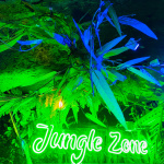 Jungle Zone