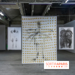 Le Grand Désenvoûtement