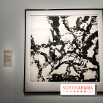 L'encre en mouvement, l'expo au musée Cernuschi, nos photos