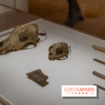 Picasso et la Préhistoire, les photos de l'exposition au Musée de l'Homme