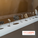 Picasso et la Préhistoire, les photos de l'exposition au Musée de l'Homme