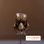 Picasso et la Préhistoire, les photos de l'exposition au Musée de l'Homme