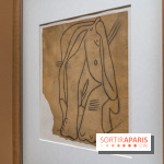 Picasso et la Préhistoire, les photos de l'exposition au Musée de l'Homme