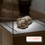 Picasso et la Préhistoire, les photos de l'exposition au Musée de l'Homme