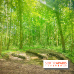 Le Hangar Y à Meudon, nos photos - forêt 