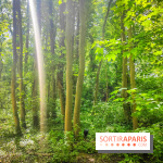 Le Hangar Y à Meudon, nos photos - forêt 