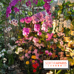 Orchidées - jardin des plantes