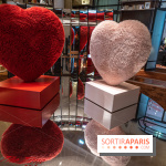 Saint-Valentin visuel saint Valentin  -  A7C2597