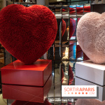 Saint-Valentin visuel saint Valentin  -  A7C2595