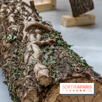 Exposition Avant l'orage à la Bourse de Commerce - Pinault Collection - urgence climatique