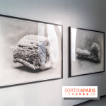 Exposition Avant l'orage à la Bourse de Commerce - Pinault Collection - urgence climatique