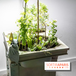 Exposition Avant l'orage à la Bourse de Commerce - Pinault Collection - urgence climatique