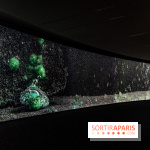 Exposition Avant l'orage à la Bourse de Commerce - Pinault Collection - urgence climatique