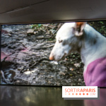 Exposition Avant l'orage à la Bourse de Commerce - Pinault Collection - urgence climatique