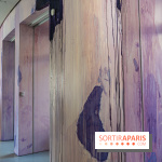 Exposition Avant l'orage à la Bourse de Commerce - Pinault Collection - urgence climatique