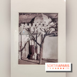 Exposition Paul Strand ou l'équilibre des forces, un voyage en photos à la Fondation HCB - IMG20230213153454