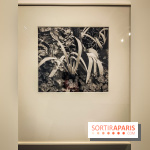 Exposition Paul Strand ou l'équilibre des forces, un voyage en photos à la Fondation HCB - IMG20230213152919