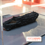 Exposition Notre-Dame de Paris - des bâtisseurs aux restaurateurs - Cité de l'Architecture -  A7C2744