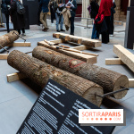 Exposition Notre-Dame de Paris - des bâtisseurs aux restaurateurs - Cité de l'Architecture -  A7C2857