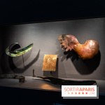 Exposition Notre-Dame de Paris - des bâtisseurs aux restaurateurs - Cité de l'Architecture -  A7C2869