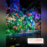Chagall, Paris-New York, l'exposition immersive inédite de l'Atelier des Lumières - photos