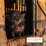 Fermes de Gally - Saint Denis - 582C69D9 6BE3 467E 8262 FB1C0E2DA12B