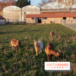 Fermes de Gally - Saint Denis - 121E8A17 ECDB 4F1B 90A8 CF8CA8E2C832