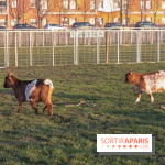 Fermes de Gally - Saint Denis - 85C3BDAD BB0B 44C8 8936 D4F8178C2E94