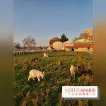 Fermes de Gally - Saint Denis - B4621AE0 CDC7 40BD 9ECE 46A2CB5176D9