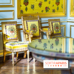 Château de Fontainebleau - Napoléon III et Eugénie -  A7C3815