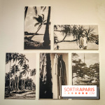 Matisse au musée de l'Orangerie : une exposition focus sur les années 1930 du peintre - nos photos - IMG20230301160729