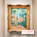 Musée de l'Orangerie - Cézanne