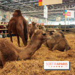 Salon de l'agriculture 2023