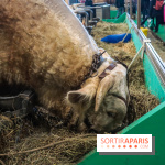 Salon de l'agriculture 2023