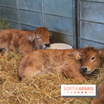 Salon de l'agriculture 2023 - 20230227161320 IMG 3955 (1)