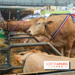 Salon de l'agriculture 2023